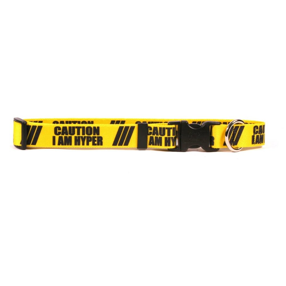 Yellow Dog Design "Caution I AM HYPER" 1" Wide Small Collar (10" - 14")